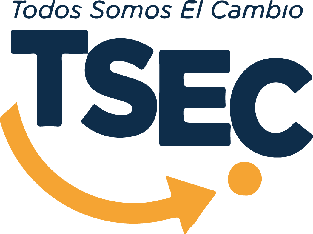 TSEC Logo